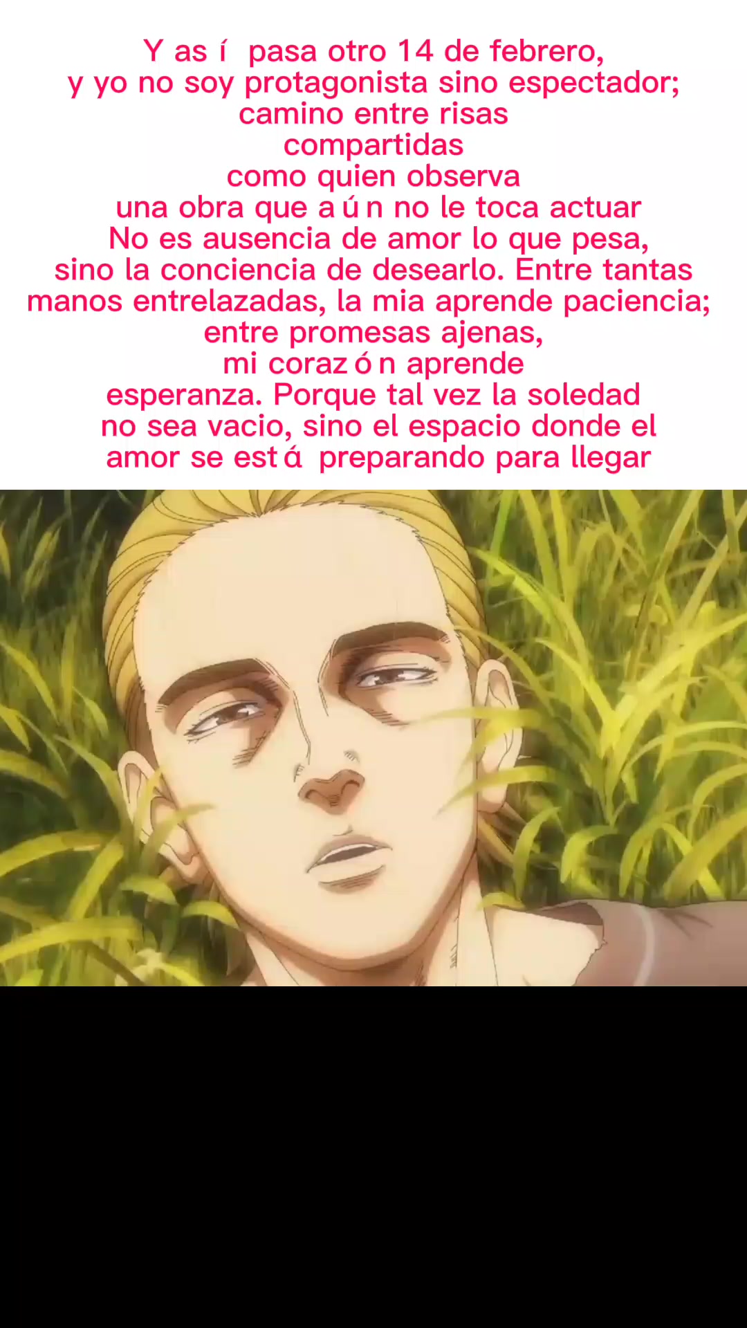 @Spider