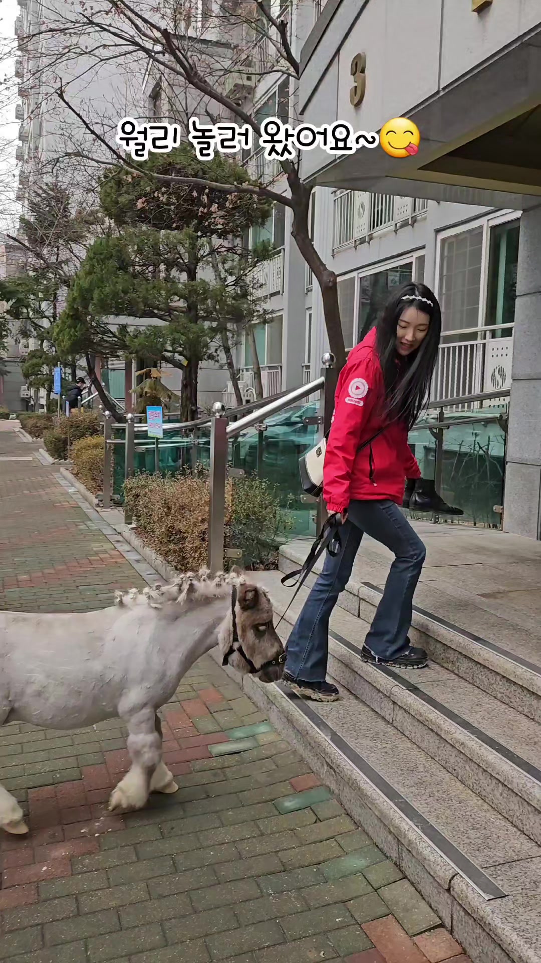 @작은말월리 | 월리플랍🦄