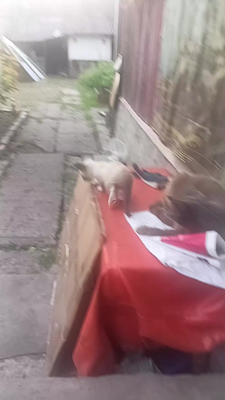 @GOONпекло