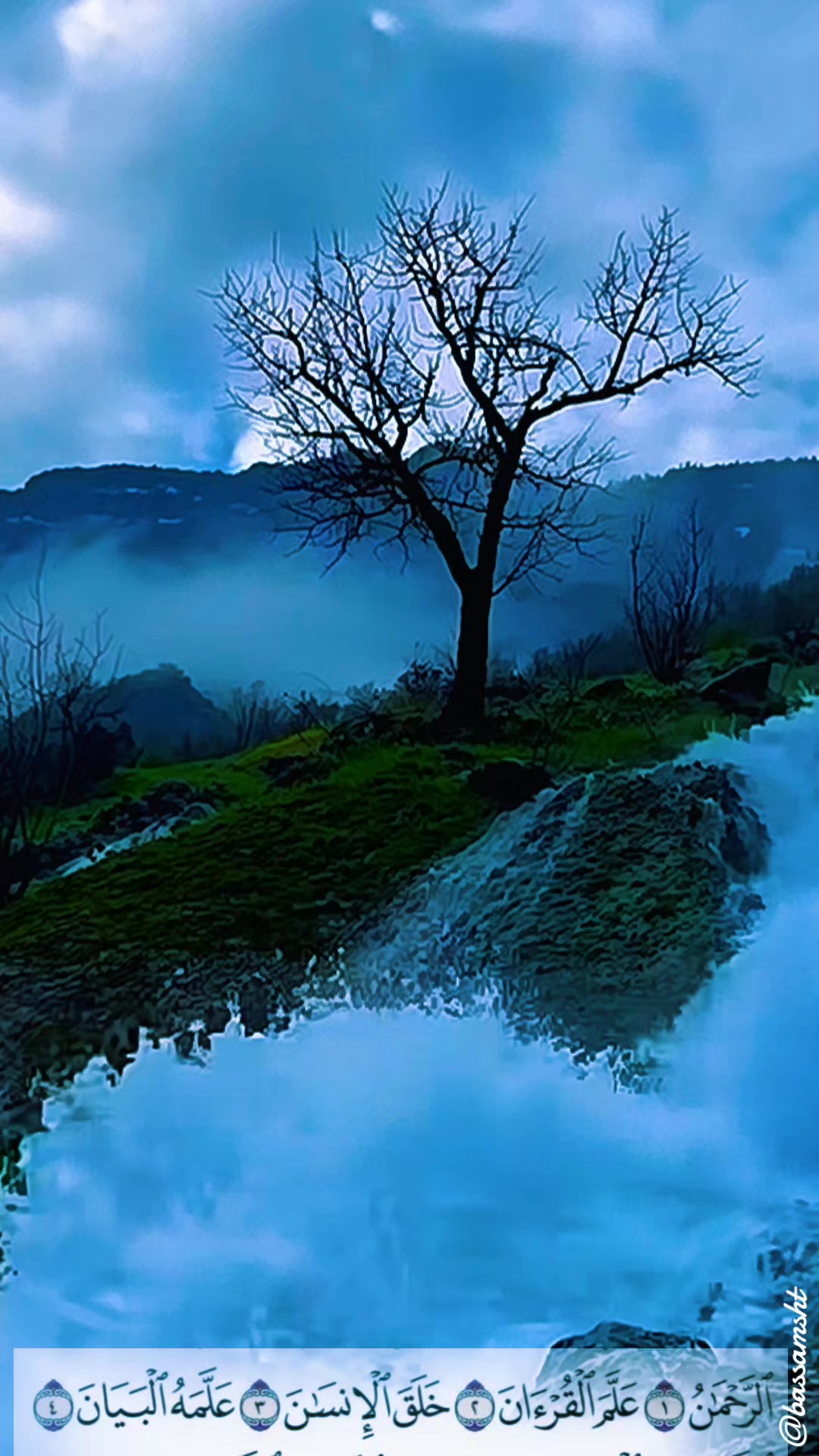 @bassamsht