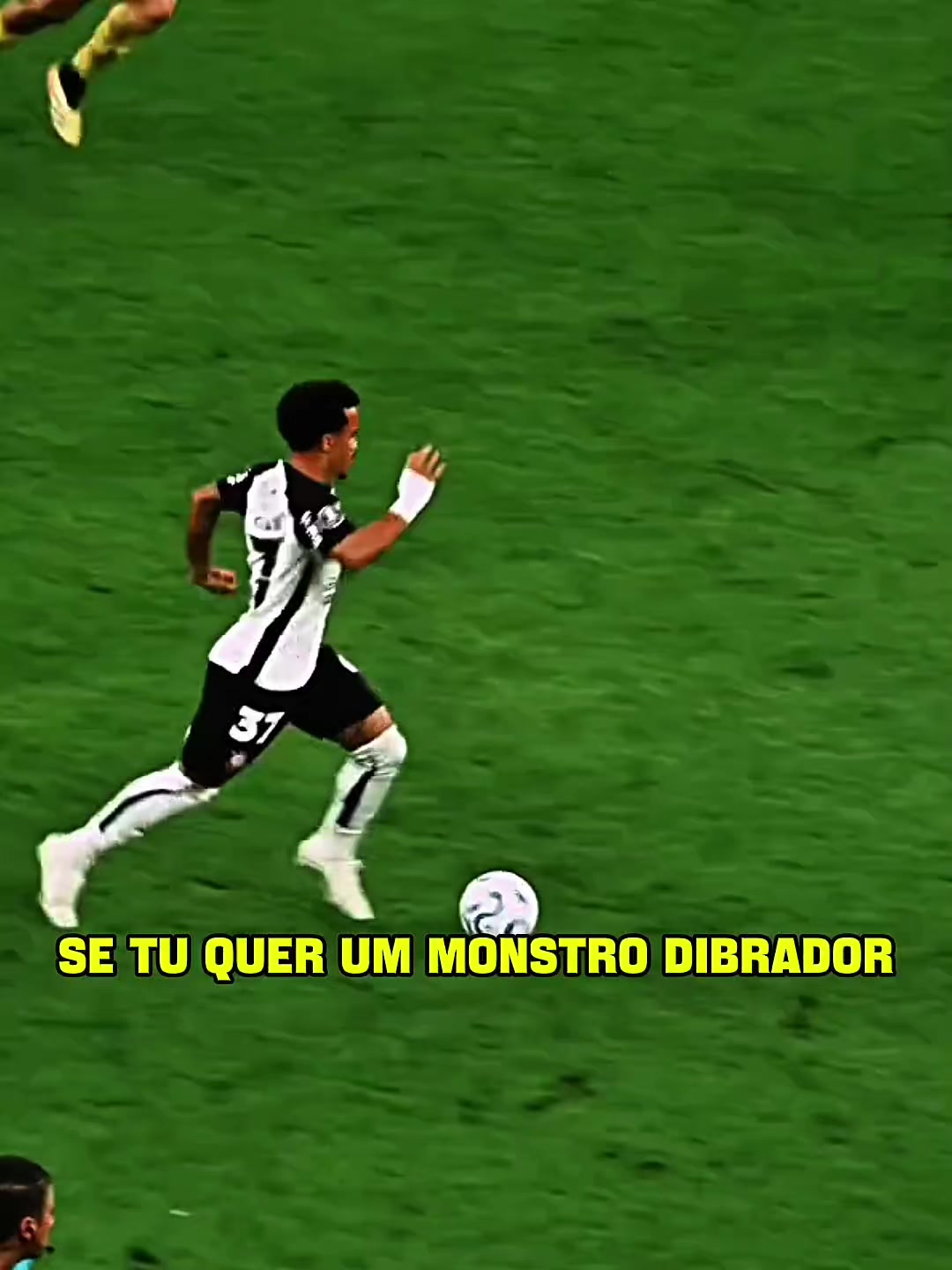 @Timão Milgrau 🖤🤍