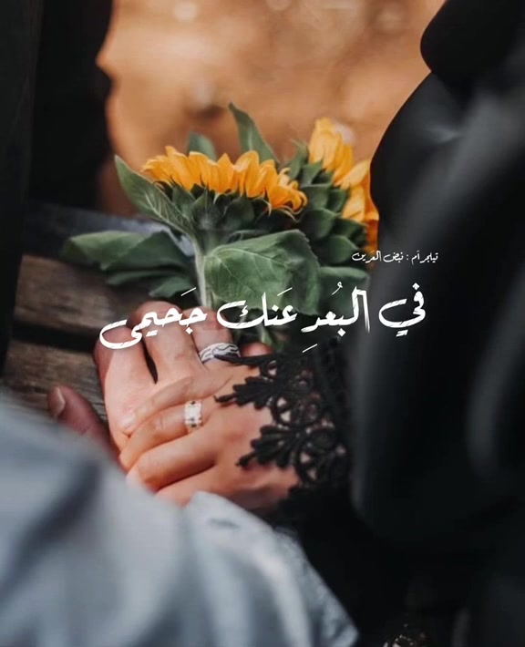 @نَبض العَرين 🔻