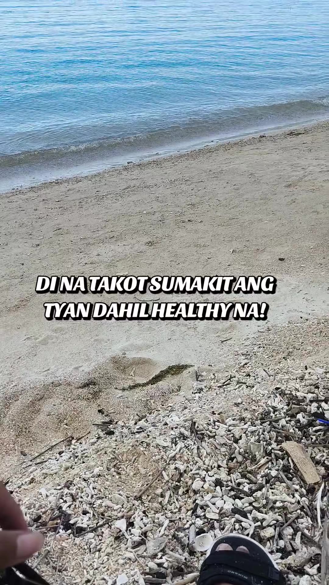 @•PaÜ•