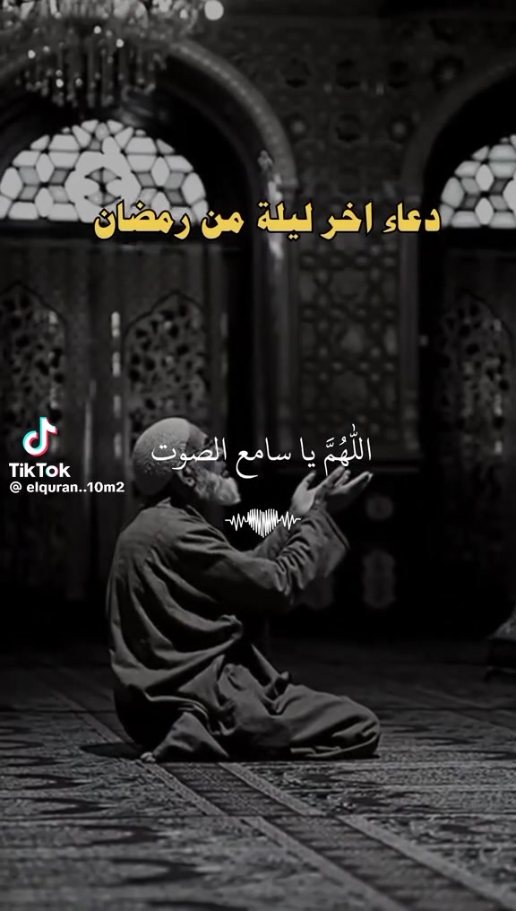 @faycel sghir