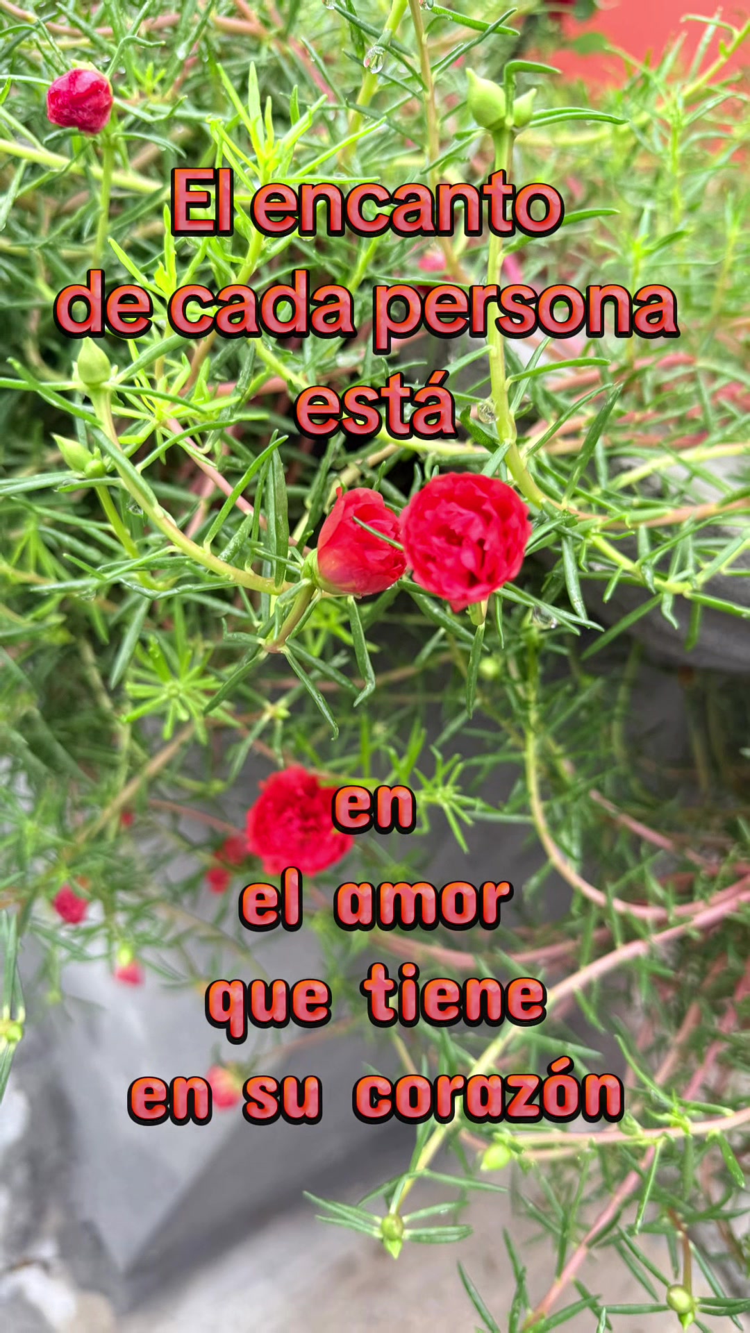@Sol
