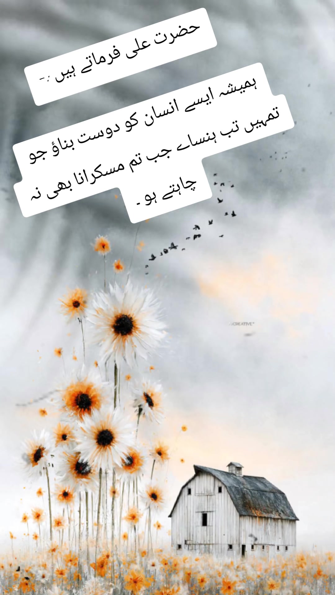 @≛⃝ MENA𝄟≛⃝