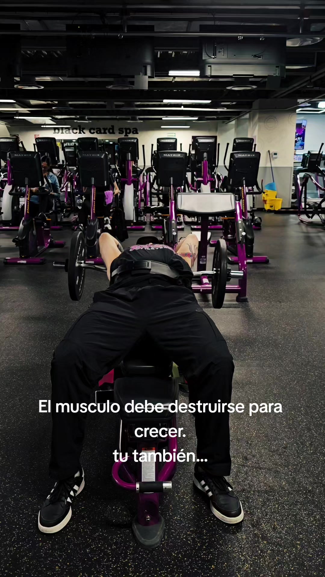 @Roberto