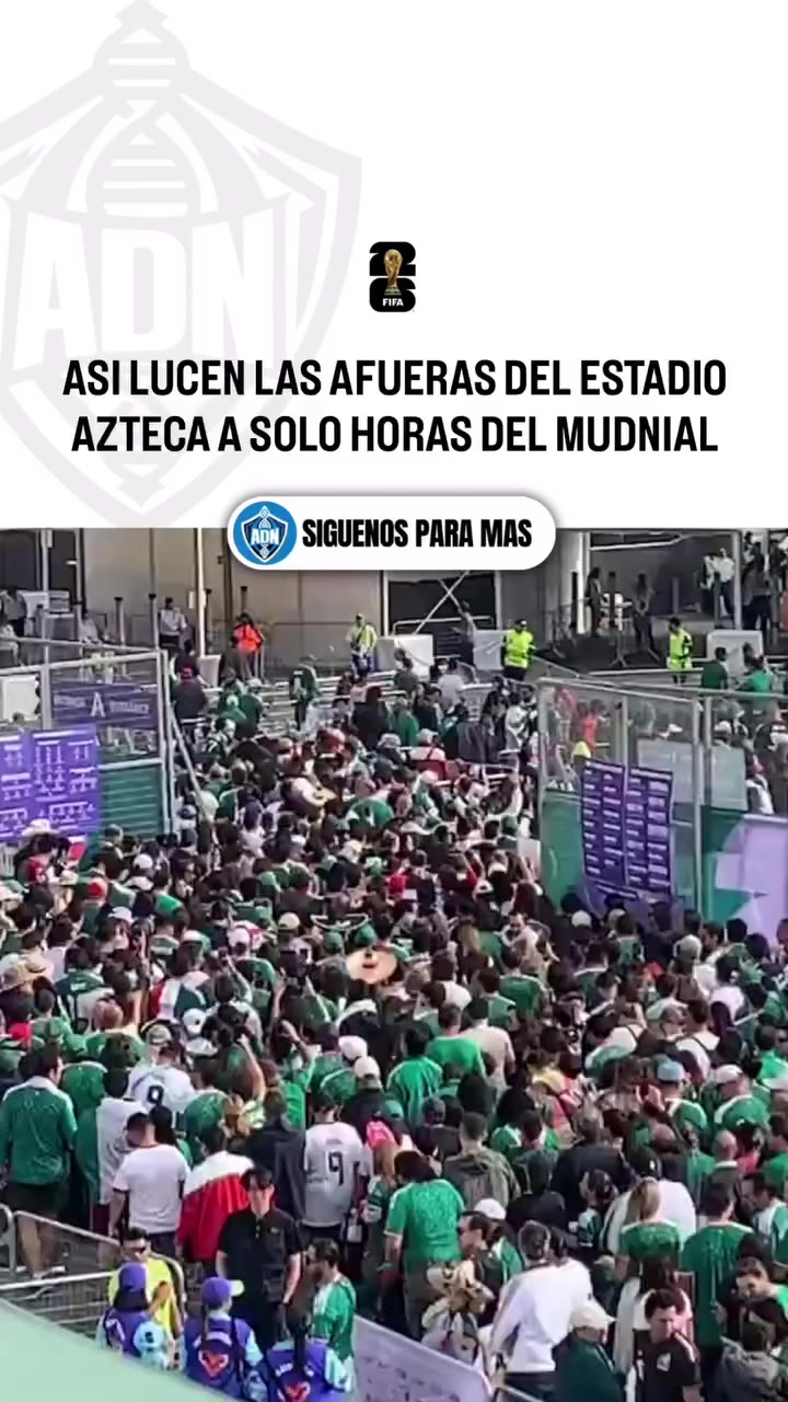 @Sporttintos