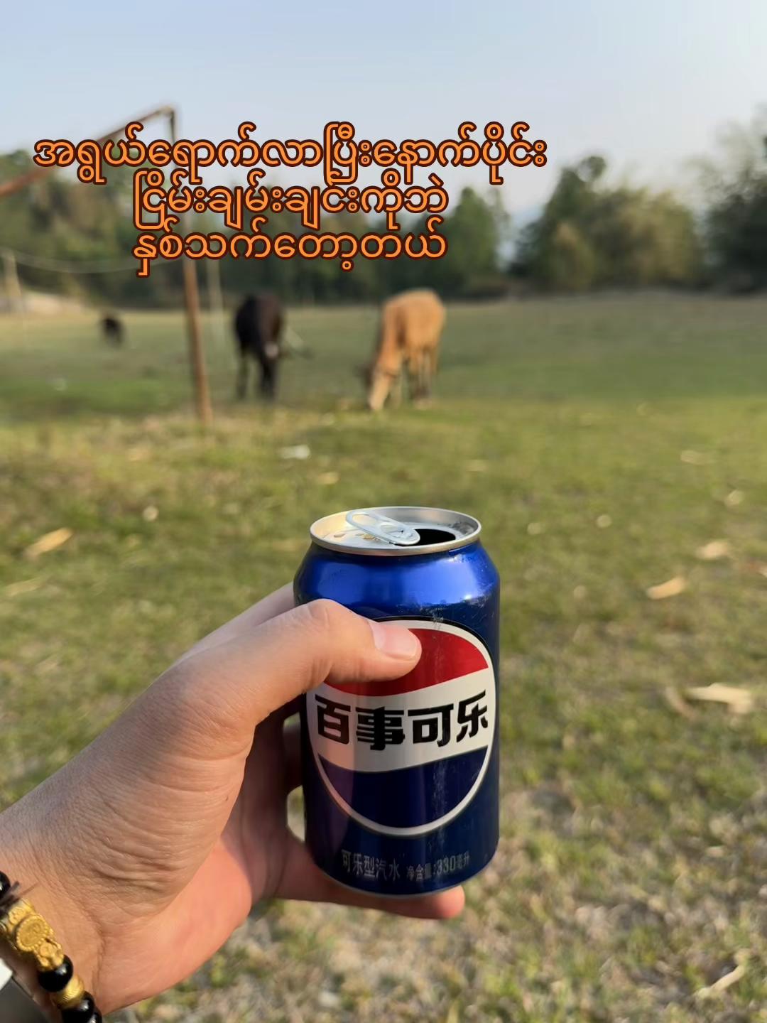@Ah Nyi (诚言）