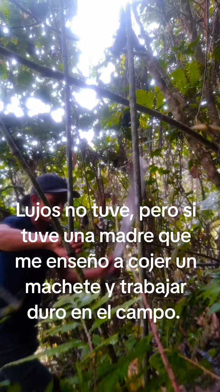 @Alex Calle👑