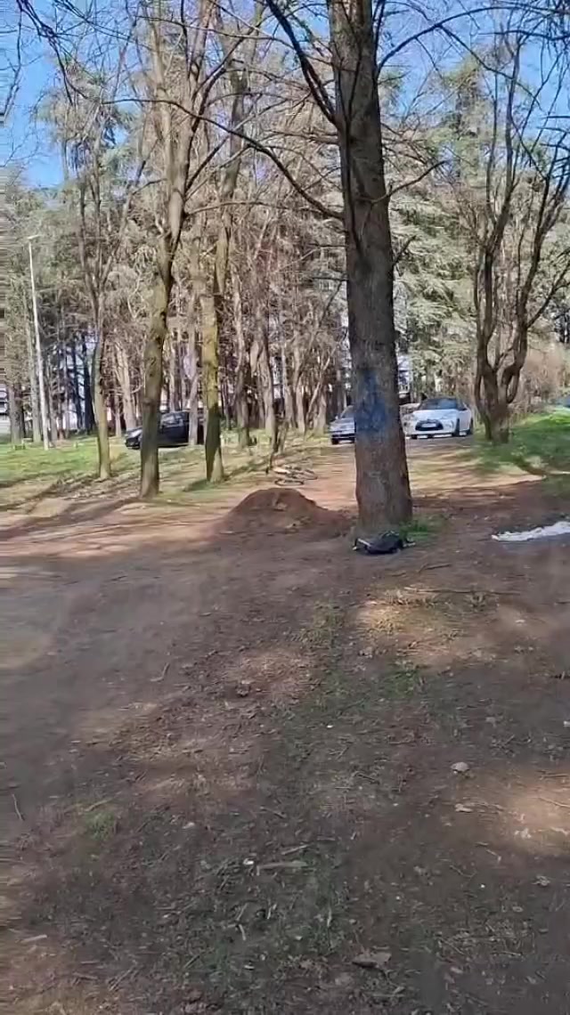 @⚔️Antoss⚔️