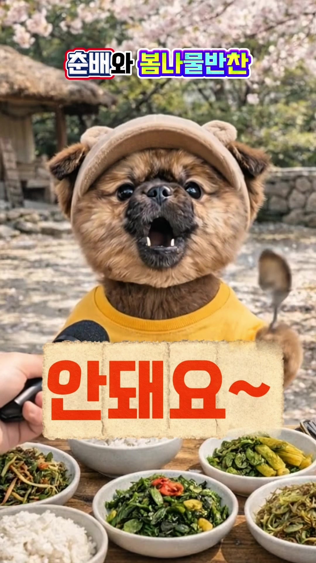 @할머니댁춘배