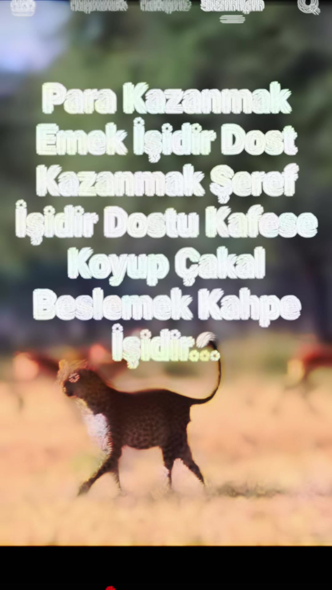 @Selim Özkaya 02 gölbaşı