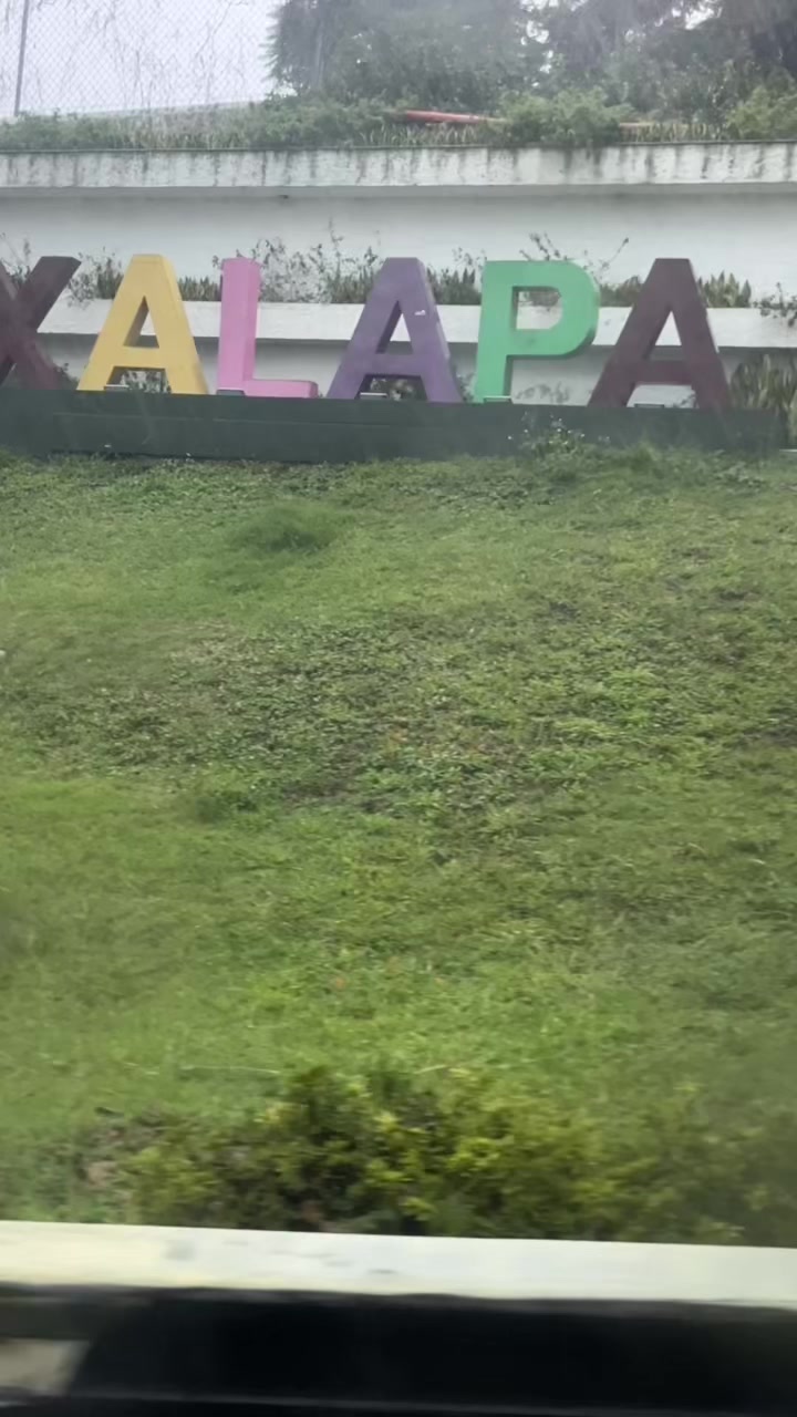 @veracruzmarysol