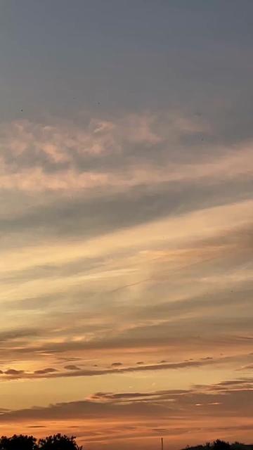 @pecint4senja
