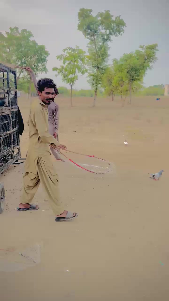 @عدیل رحمن لیہ وال کبوتر باز