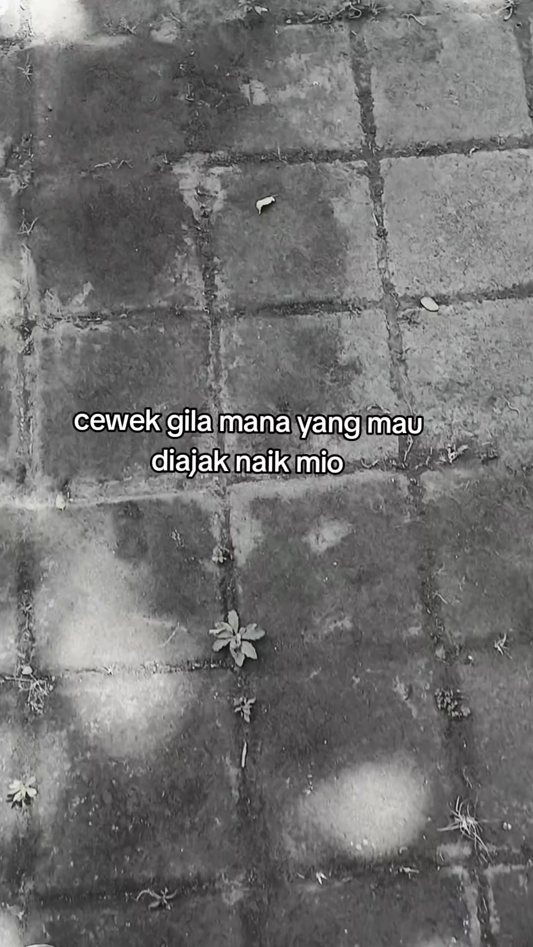 @"๐๐๐๐๐ ๐๐_๐๐๐๐