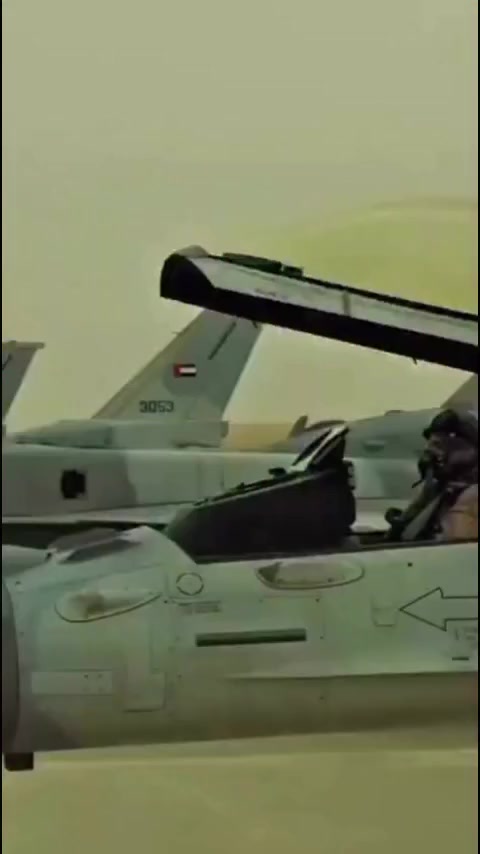 @ولد زايد 🇦🇪