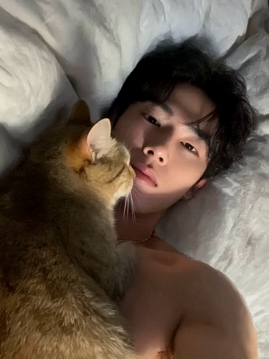 @Kboyz_ai