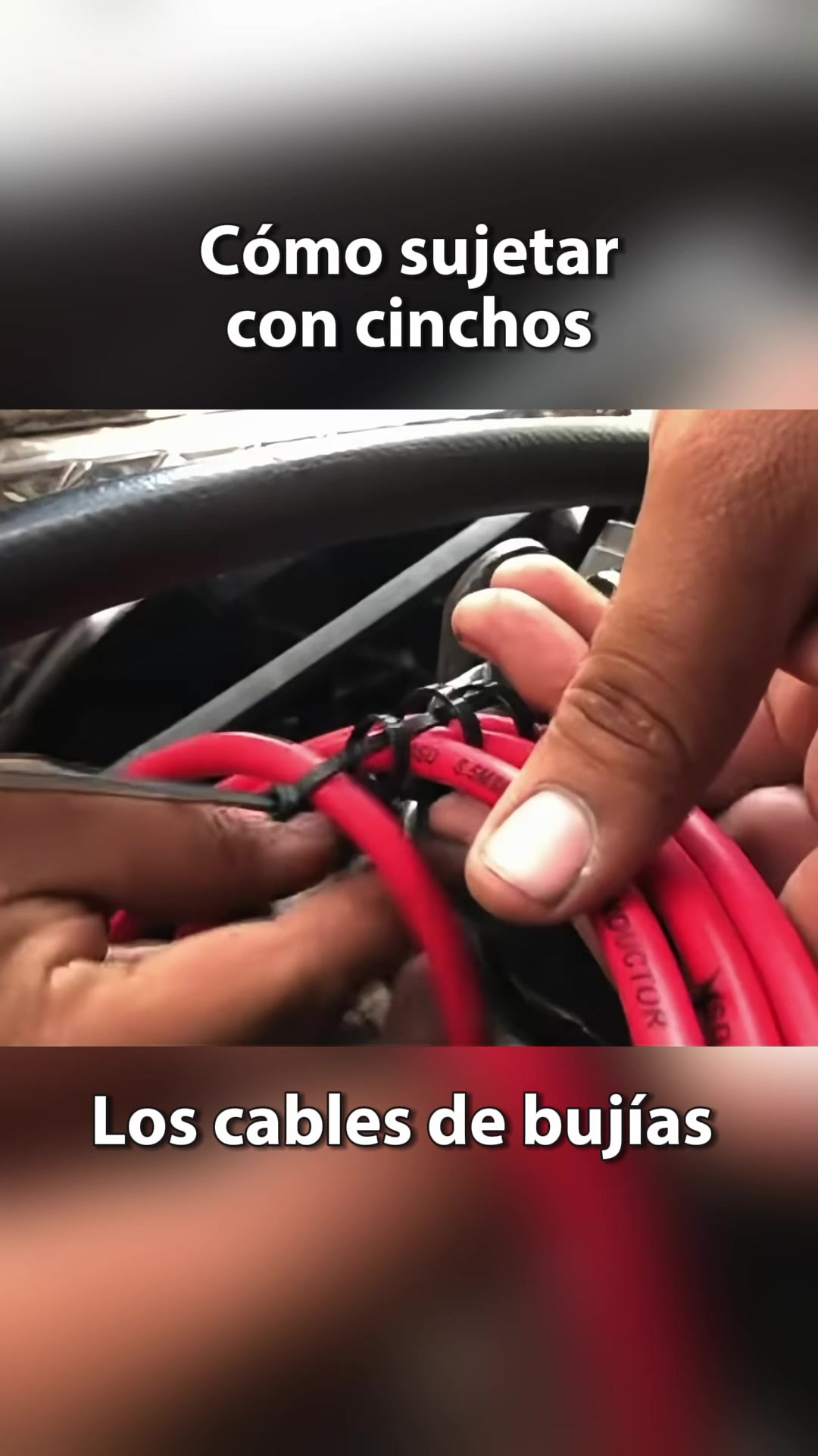 @OrdoTunes