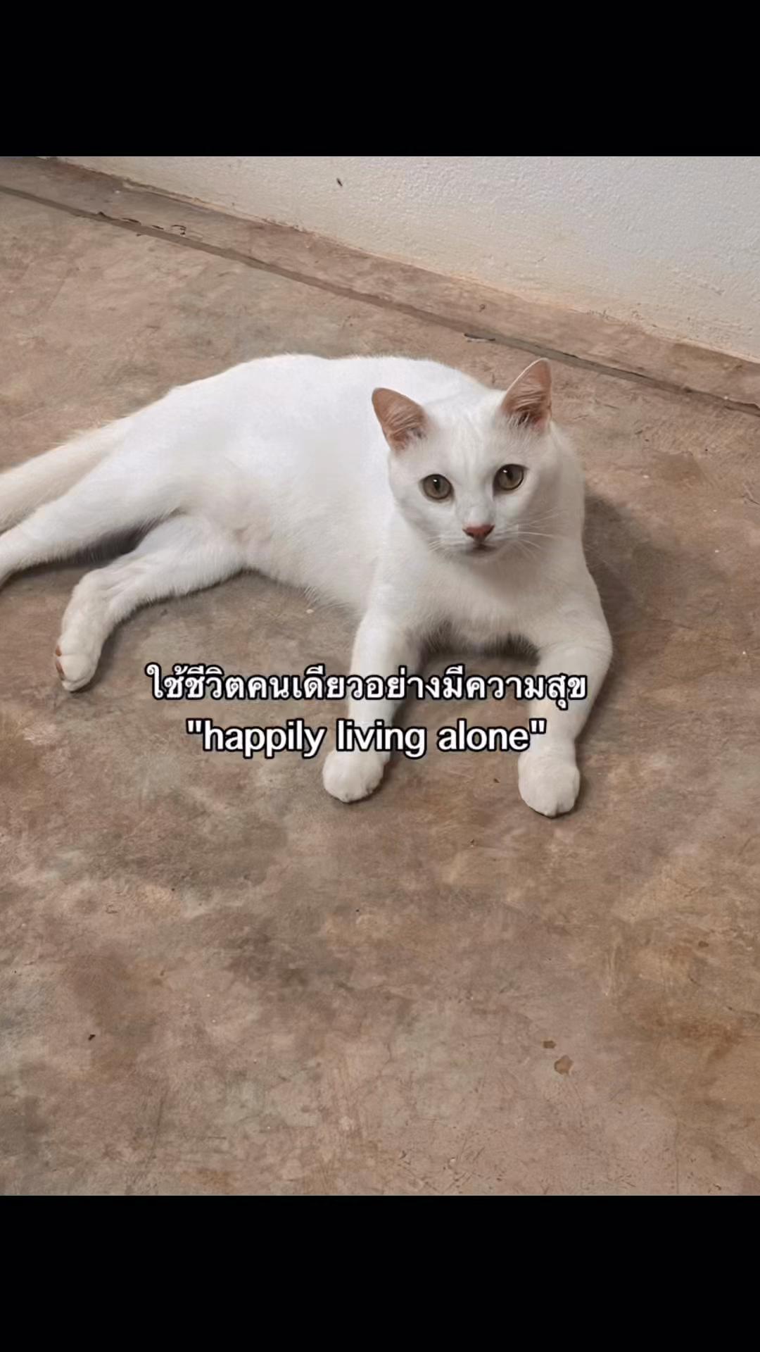 @non85193