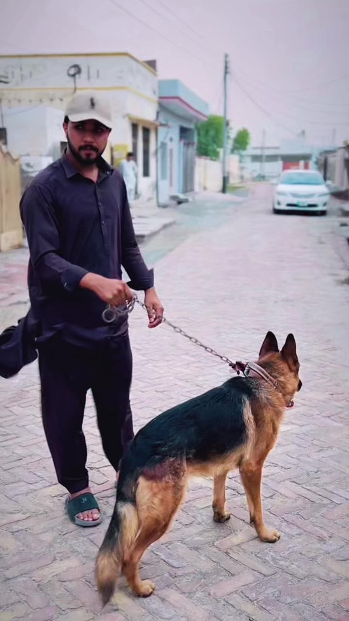 @ذولید گھمن 106🦅