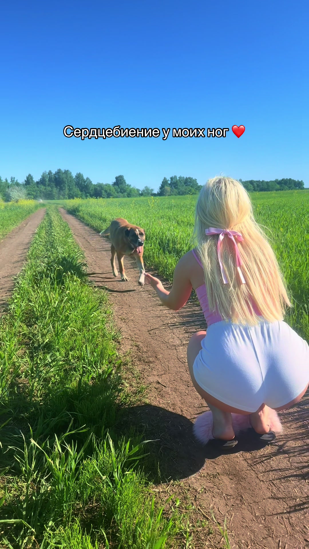 @Дикая кошка 🐈