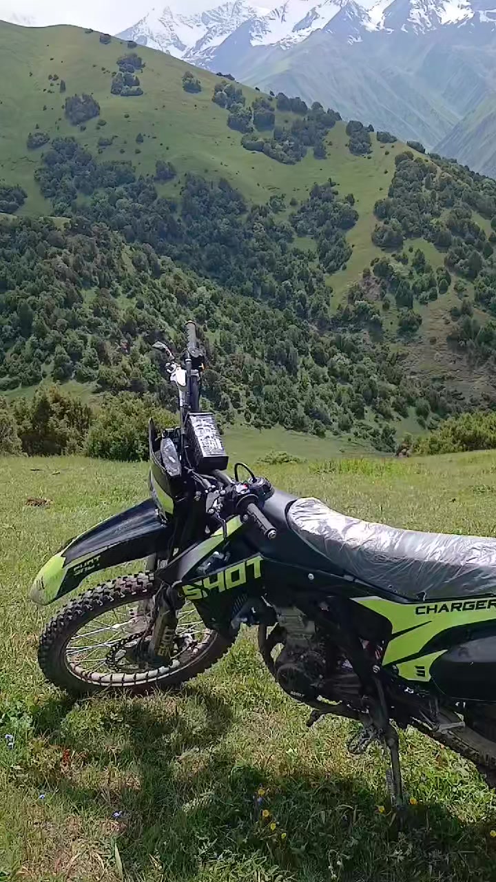 @медведь