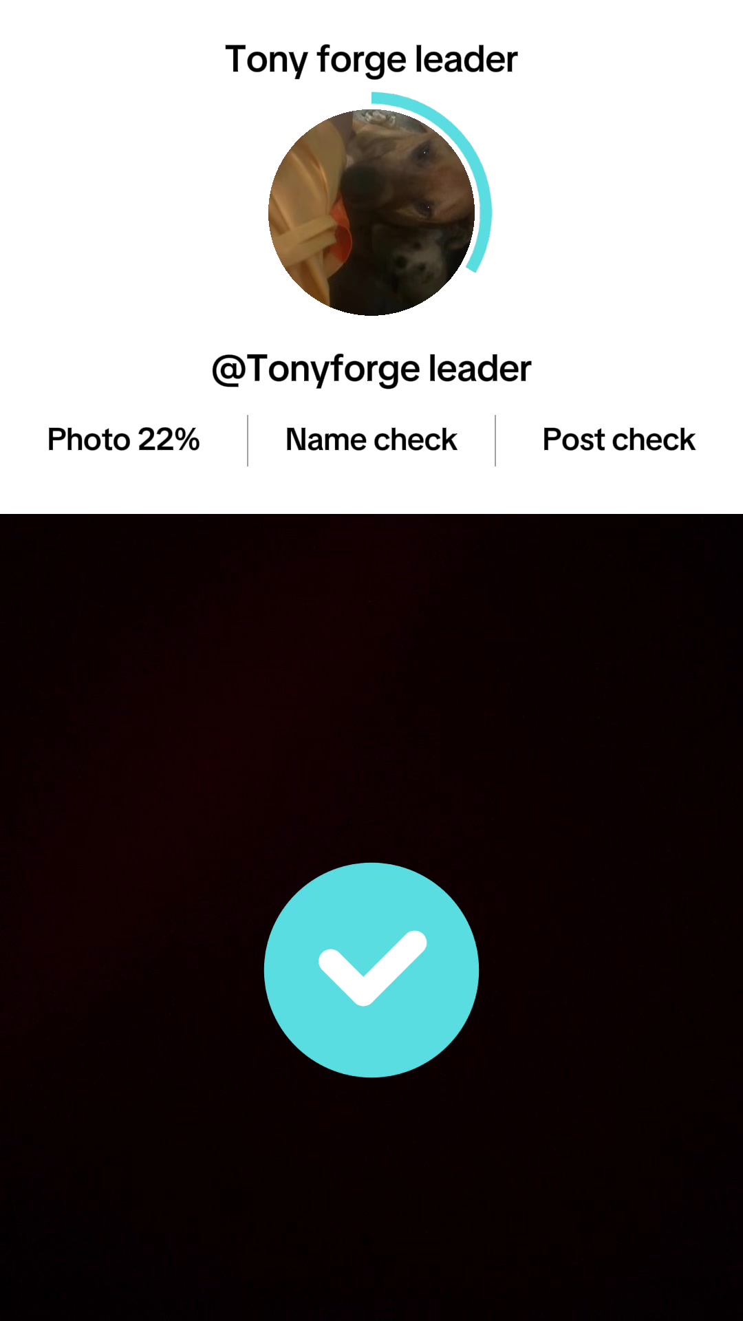 @Tony forge leader