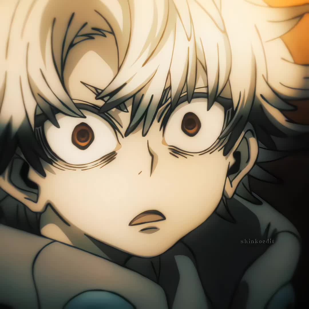 @shinkoedit