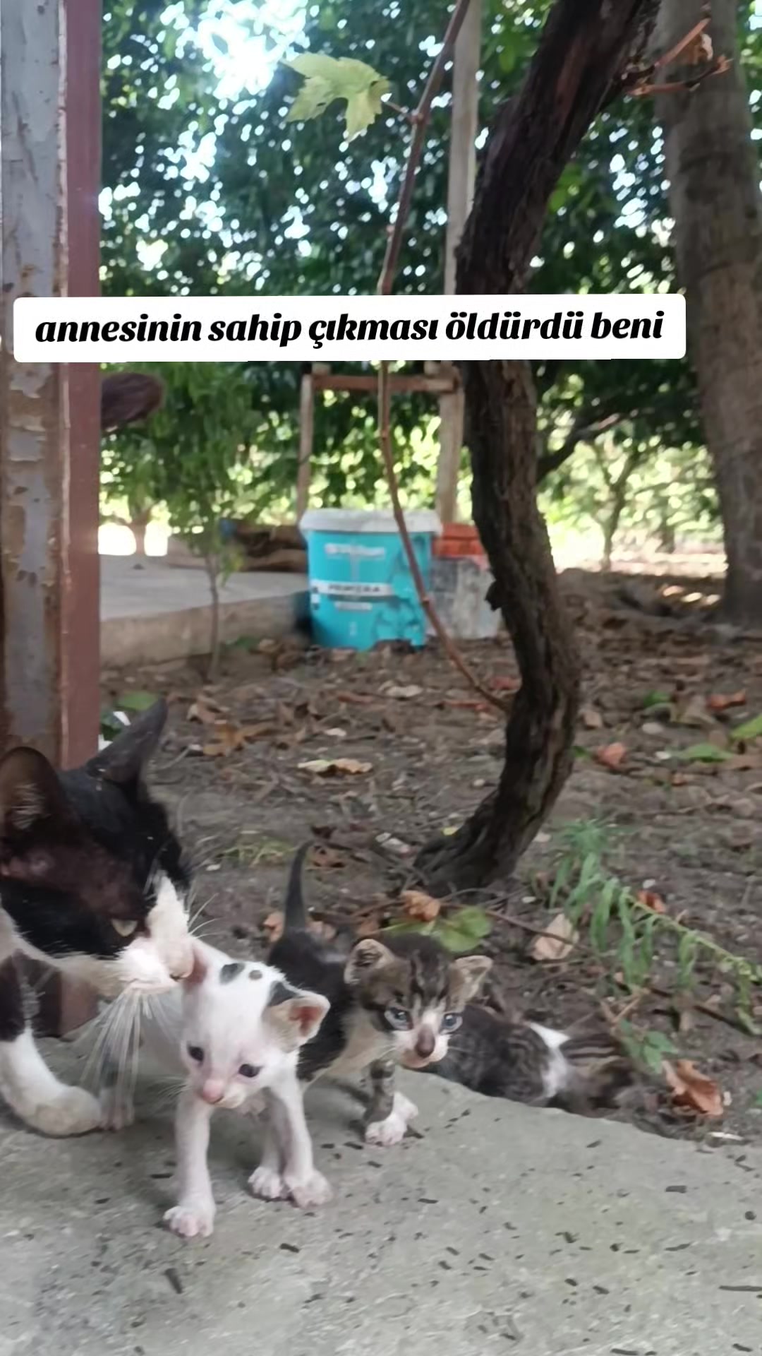 @Mustafa yıldız