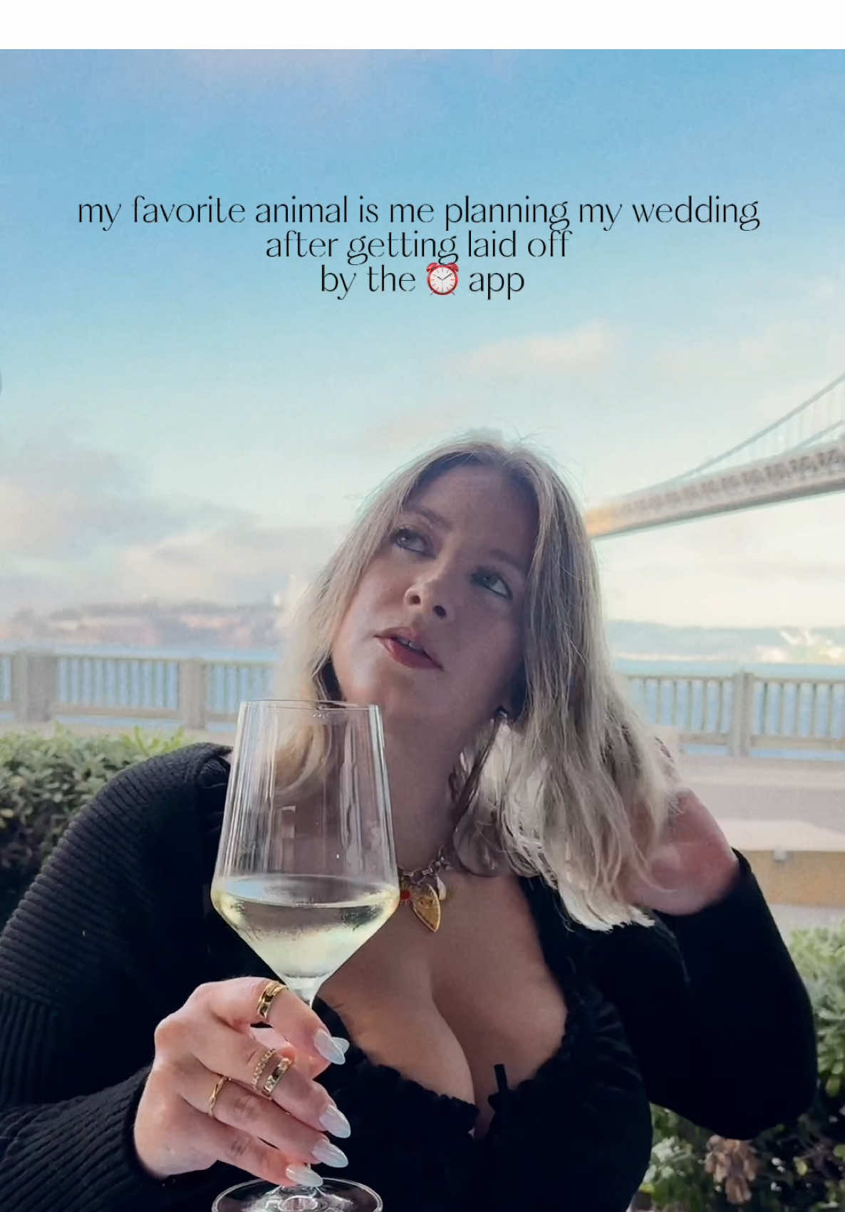 @vasiventures