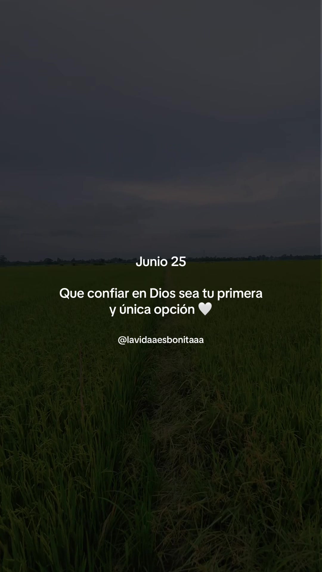 @vidabonita❤️&zwj;🩹