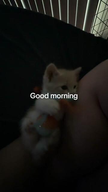 @Bryanna Jones ๐๐ฏ๐ซถ๐ป