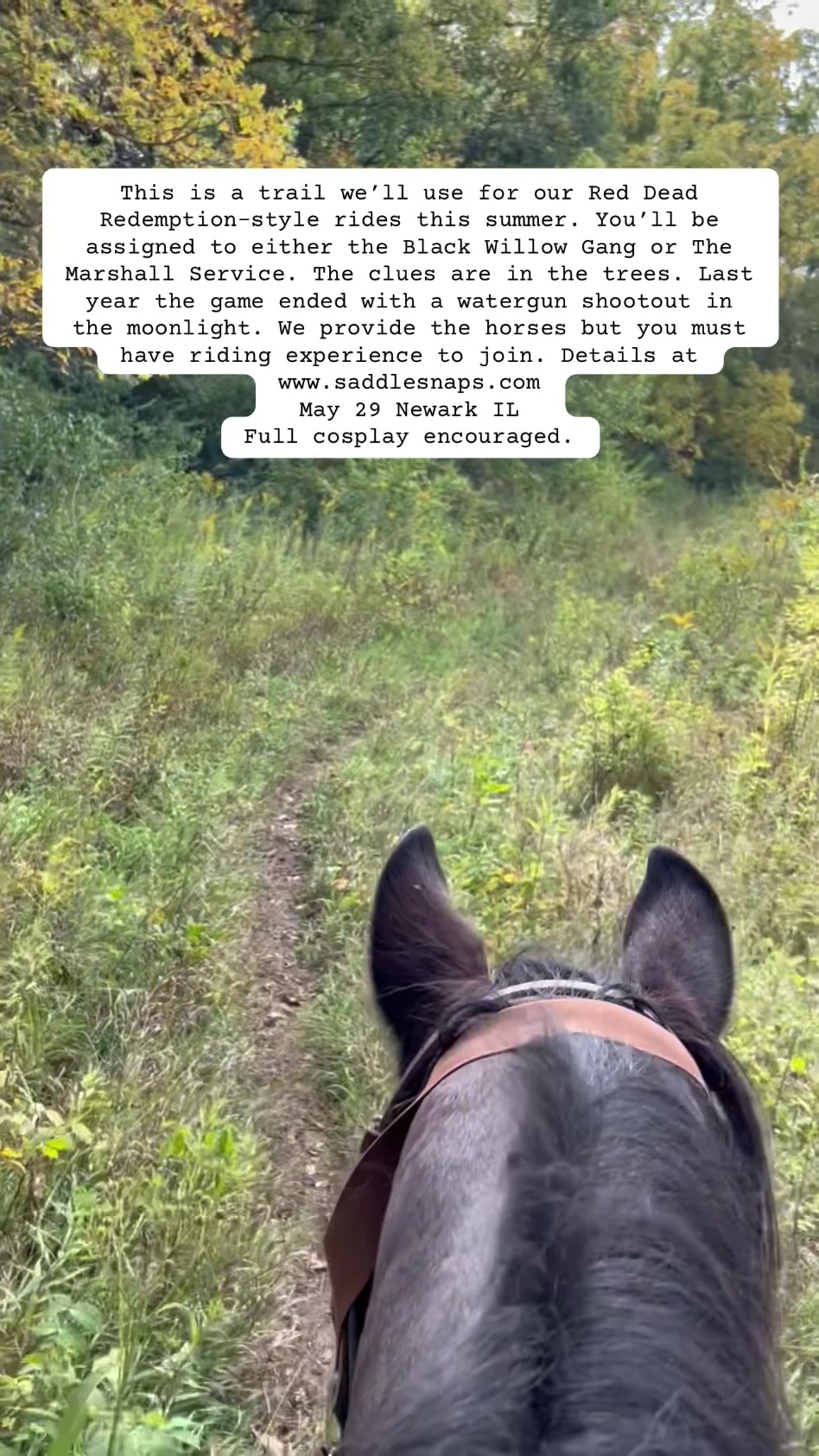 @SaddleSnaps