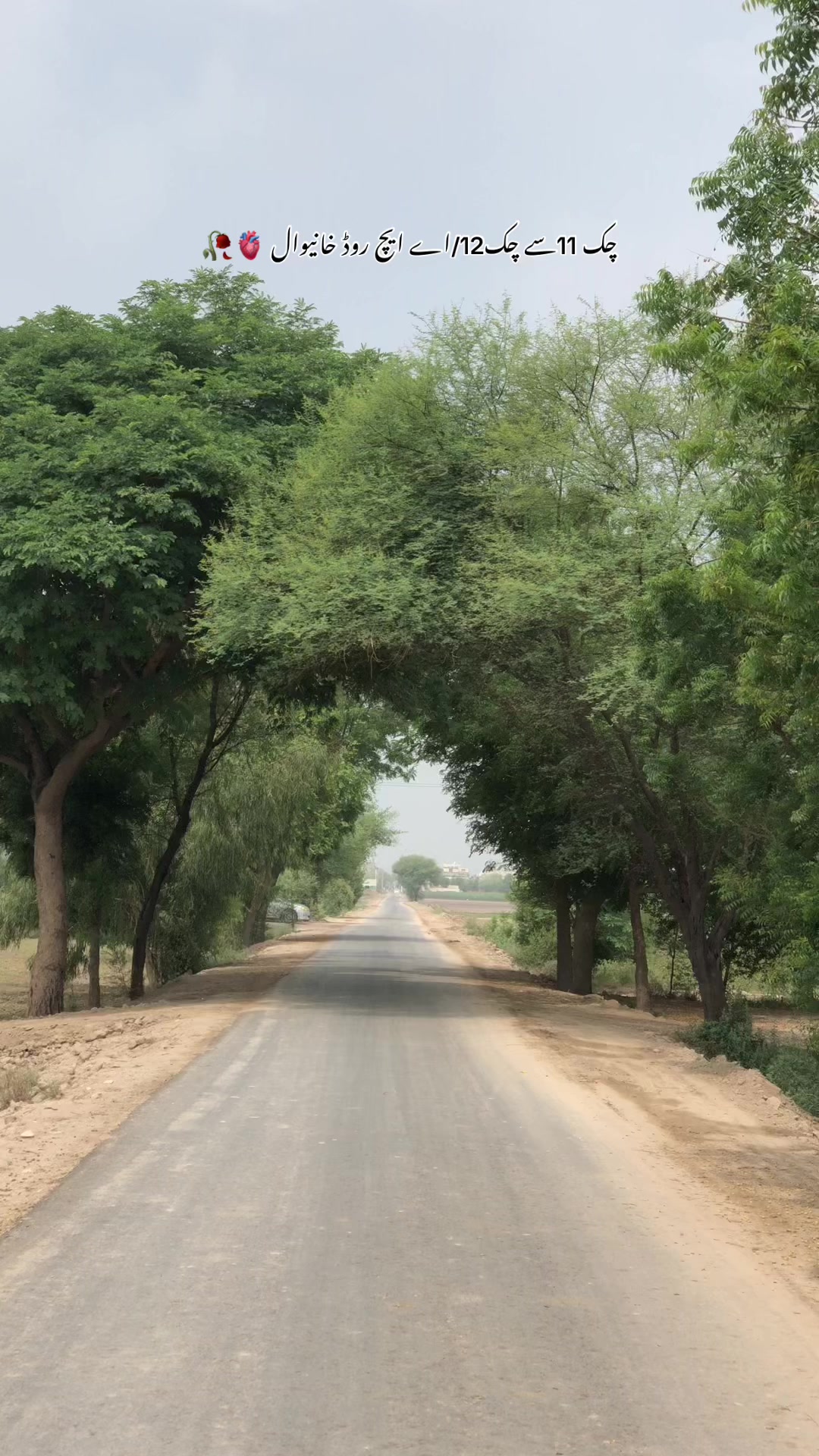@🕊️🍂سوہنا_شہر خانیوال 🍂❤️🩹