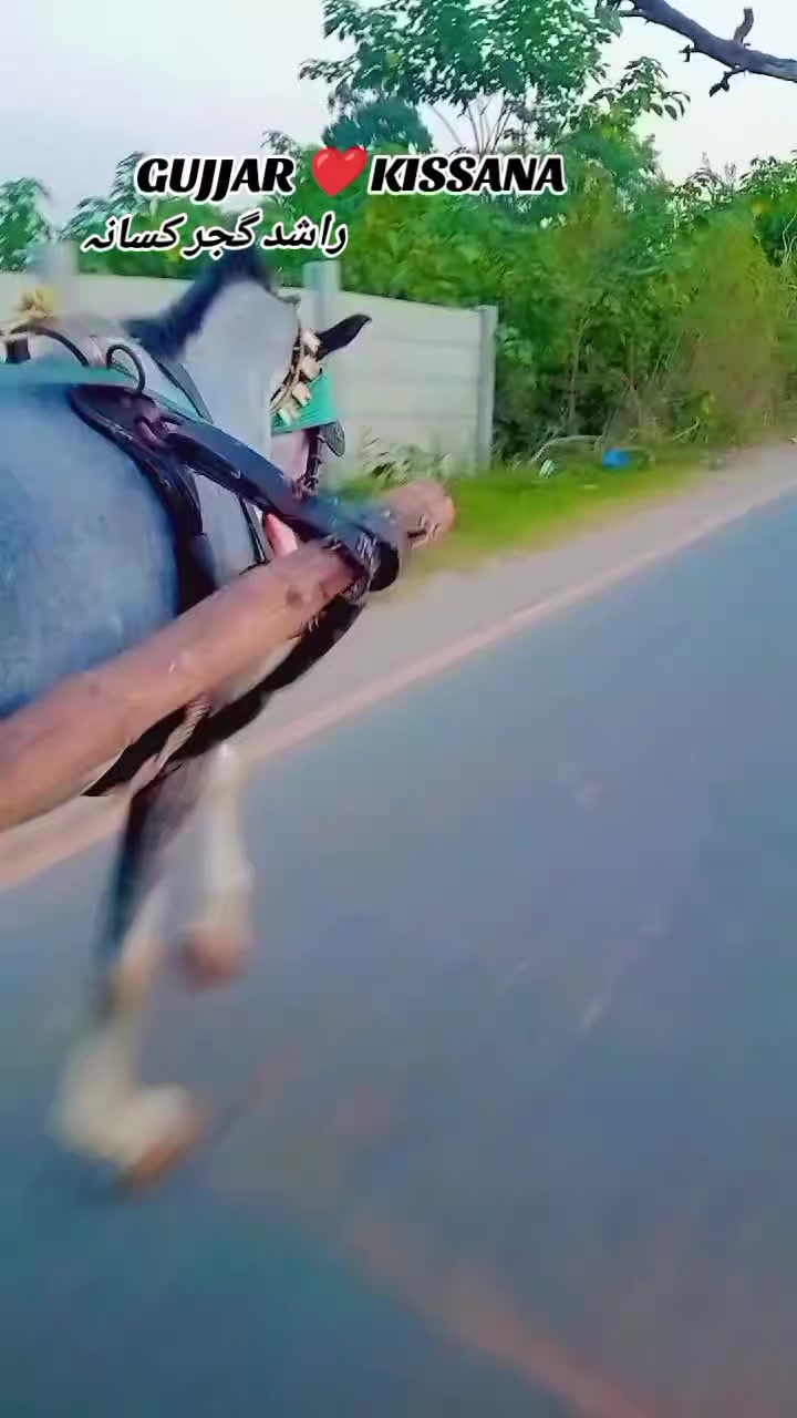 @𝐆𝐔𝐉𝐉𝐀𝐑 𝐊𝐈𝐒𝐒𝐀𝐍𝐀55
