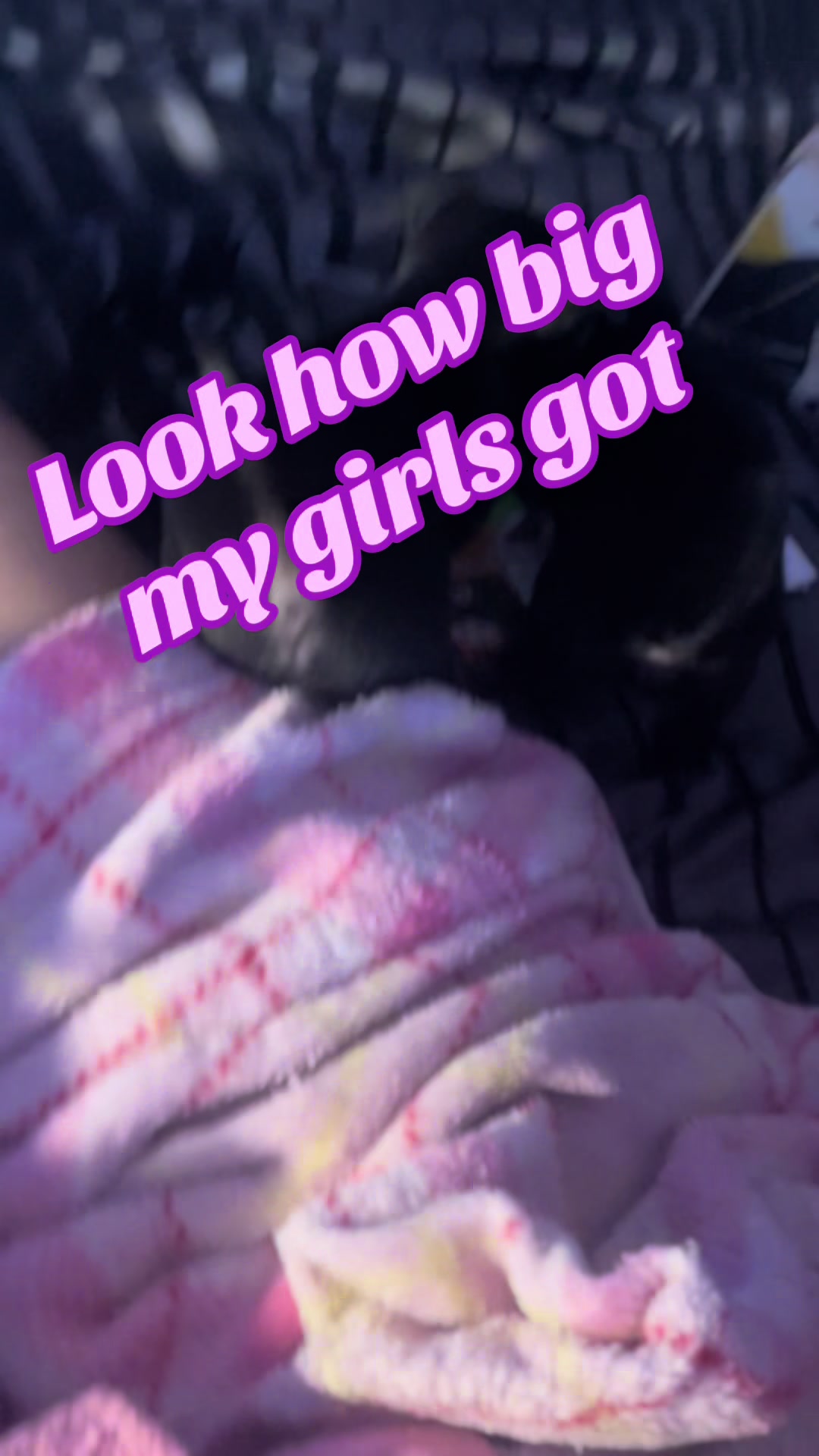 @V.Jiménez
