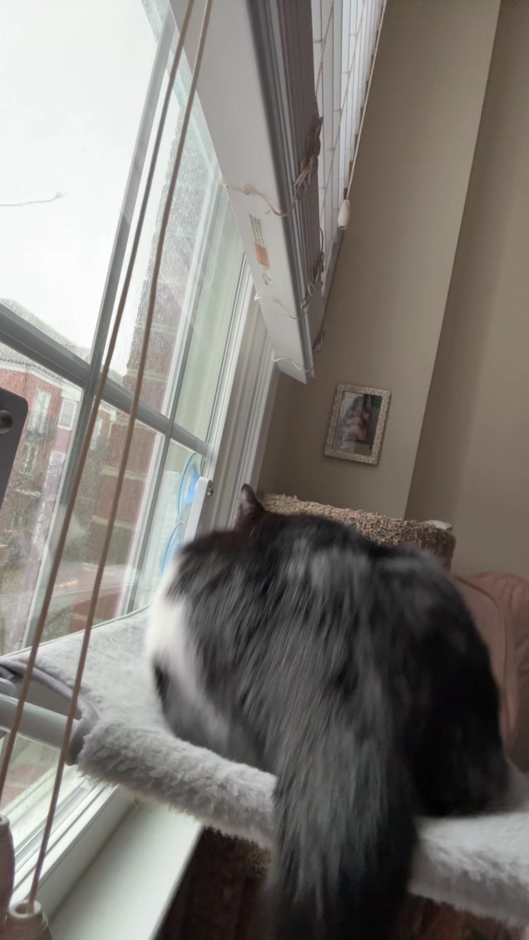 @Kat