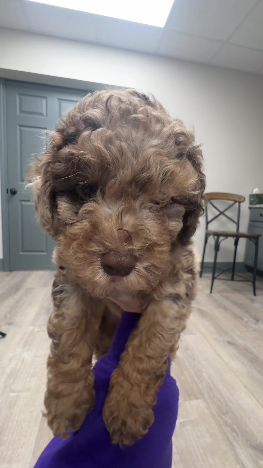 @Snodgrass Vet