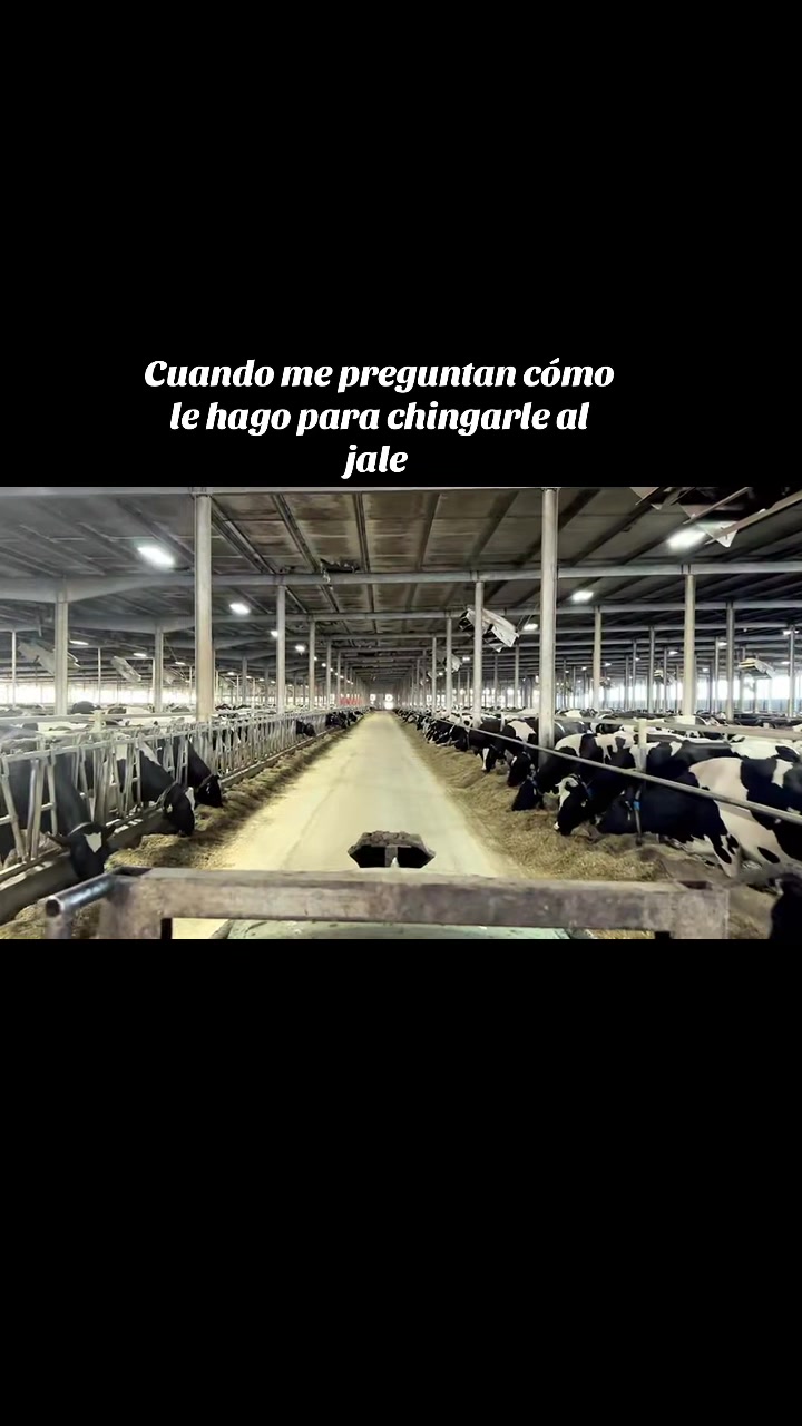 @Nery Elias