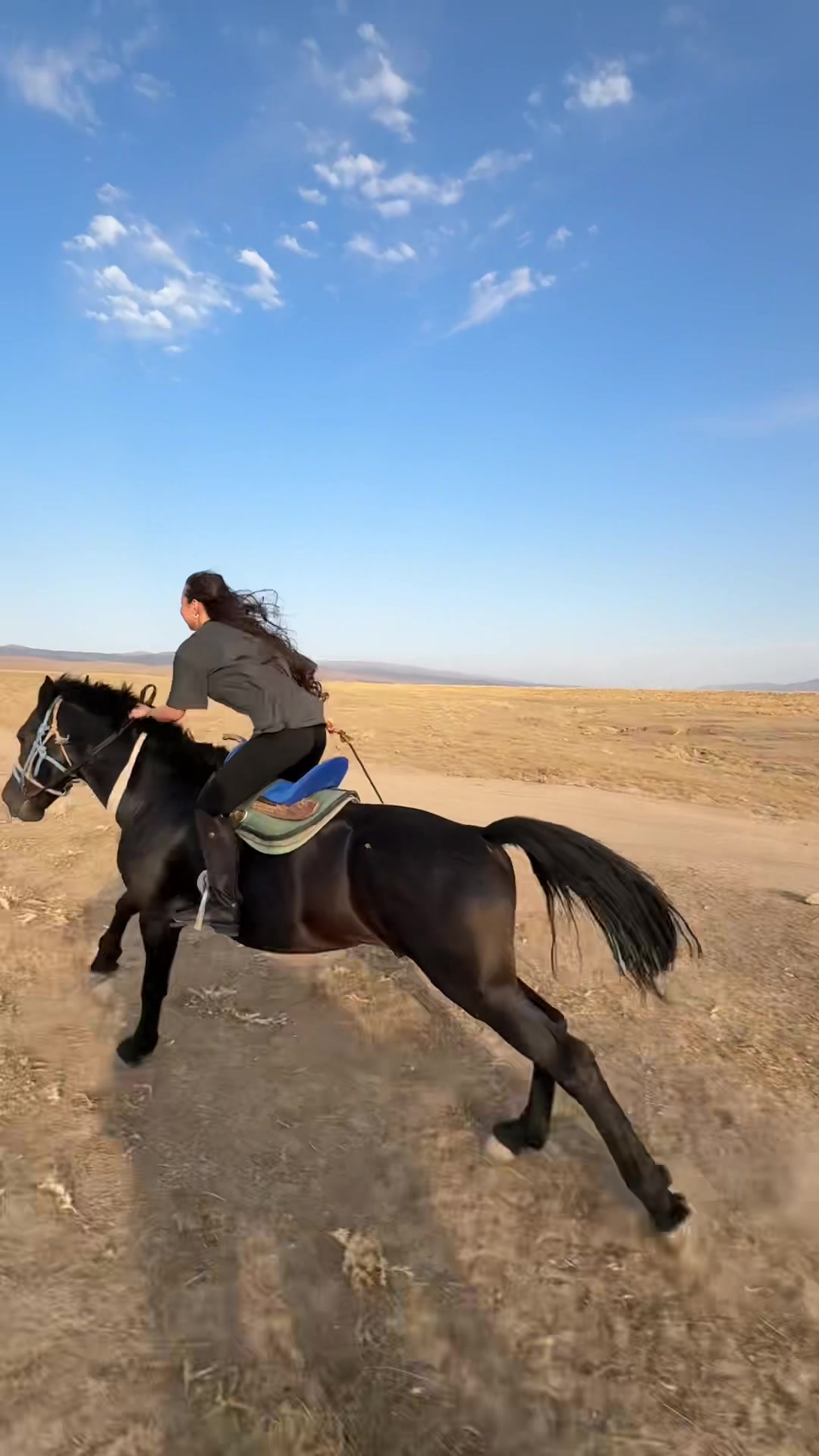 @Konnaya_progulka_taraz🐎
