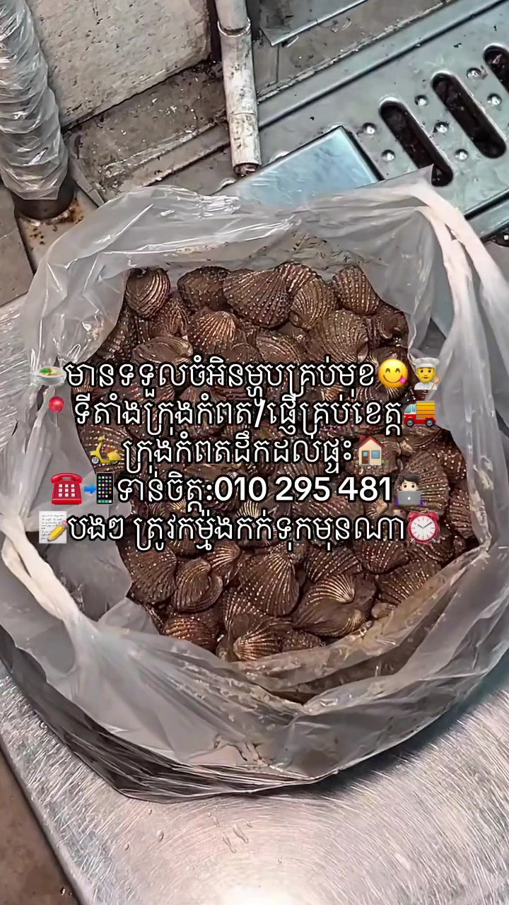 @កំពតគ្រឿងសមុទ្រ