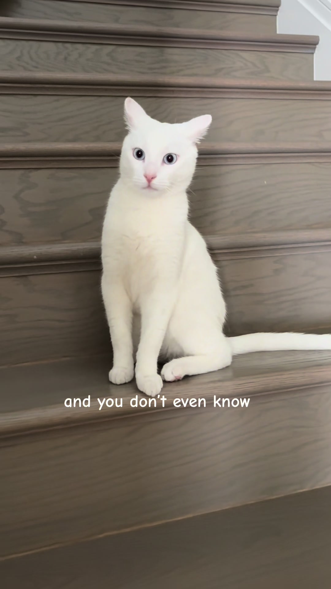 @๐ฉ๐ถ๐พโฏ๐๐ซถ๐ป