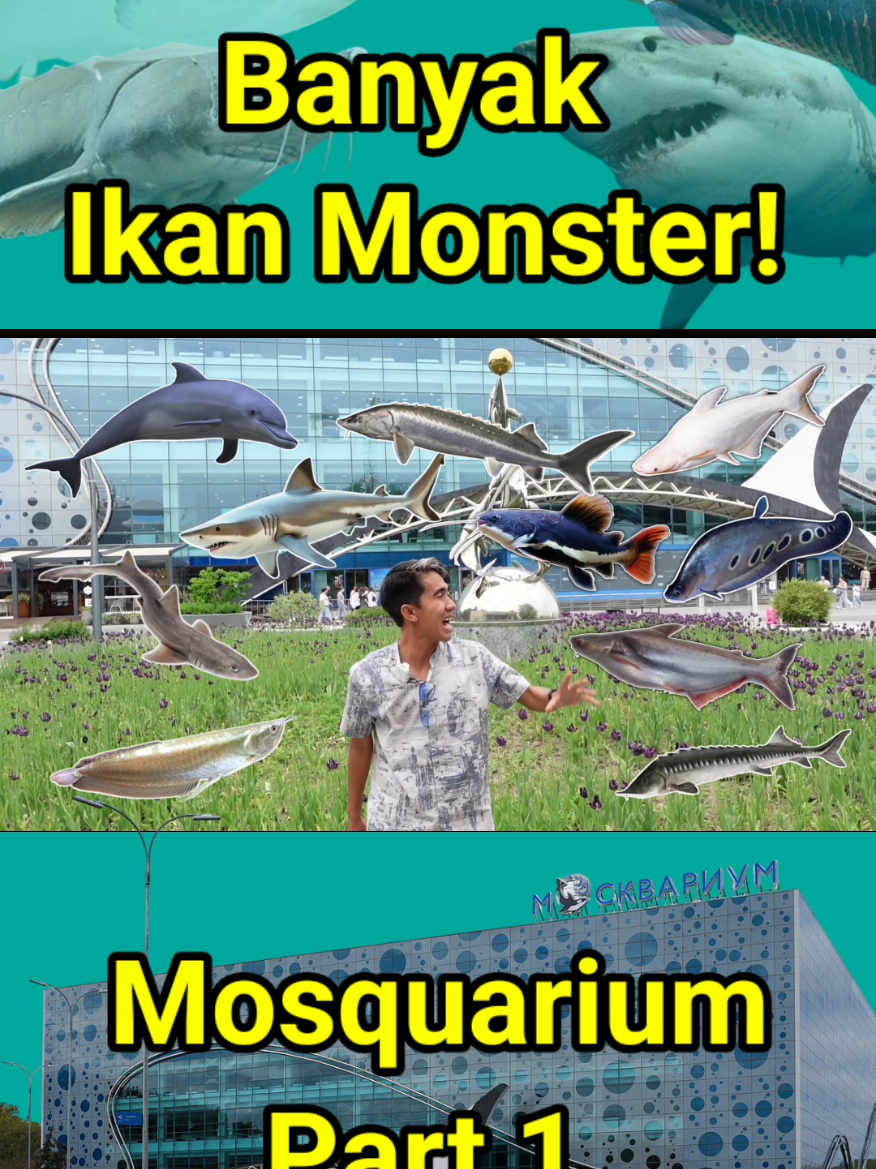 @imam noer