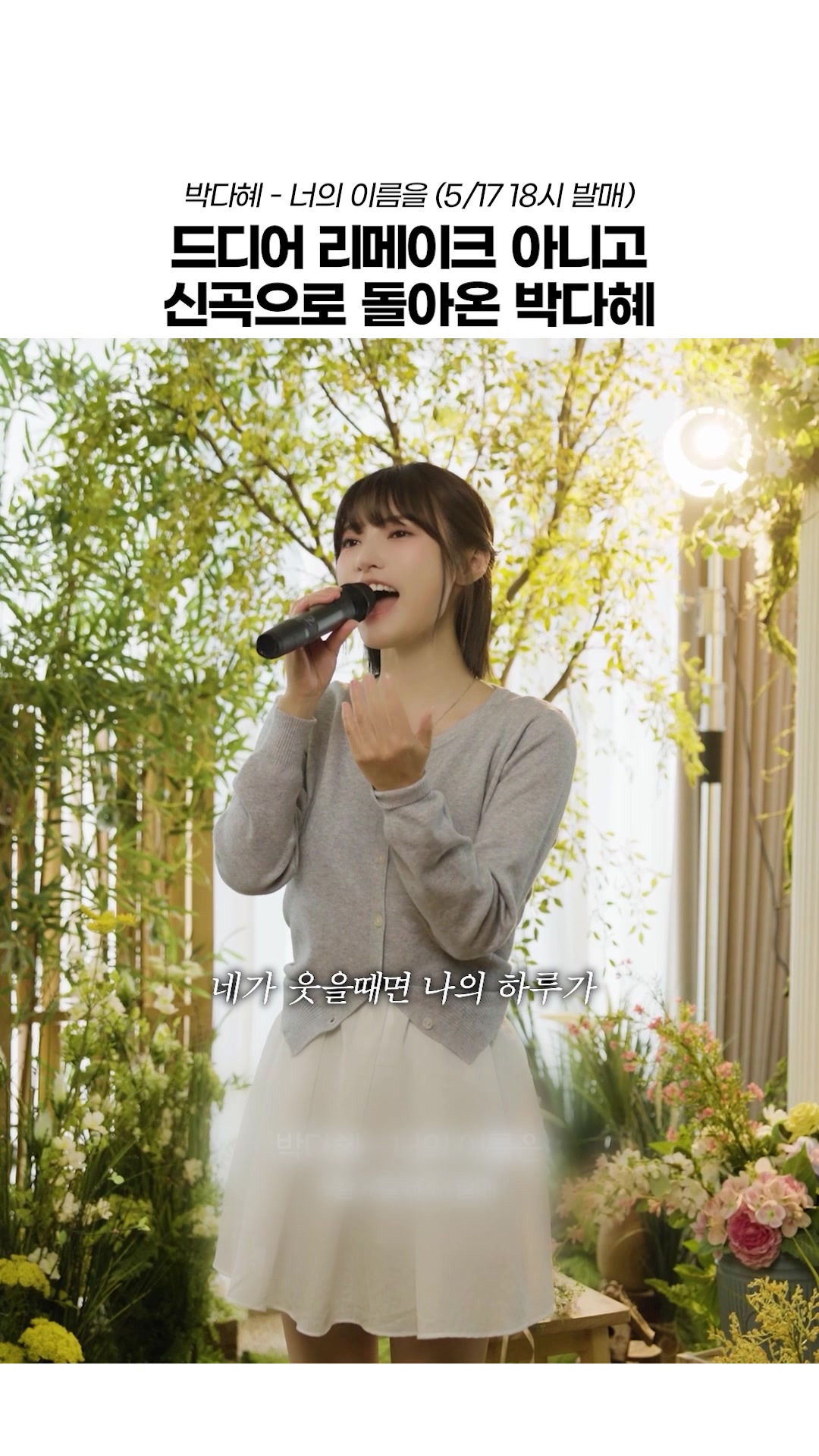@연예인 저장소