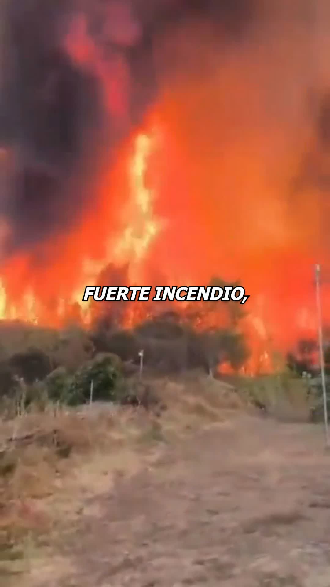 @Charlygalleta