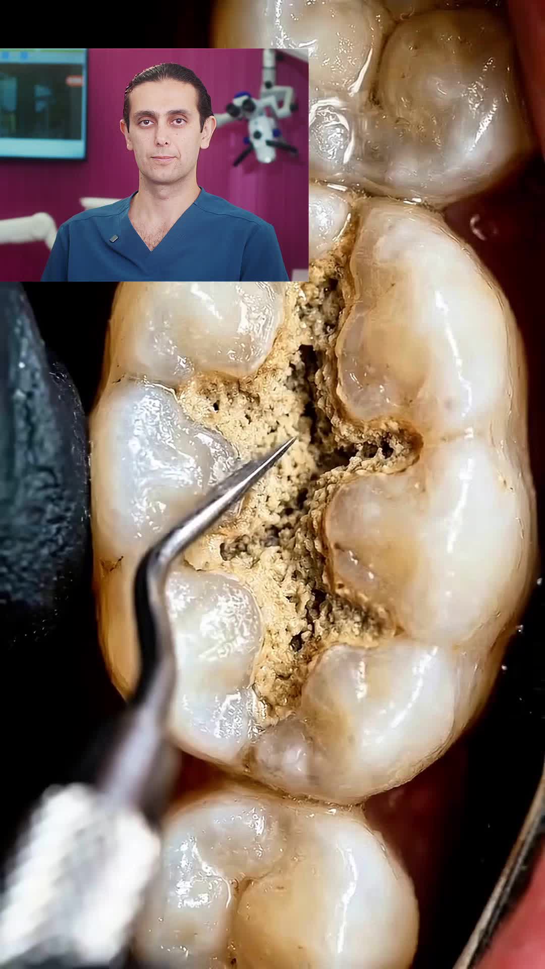 @mydentistnearme