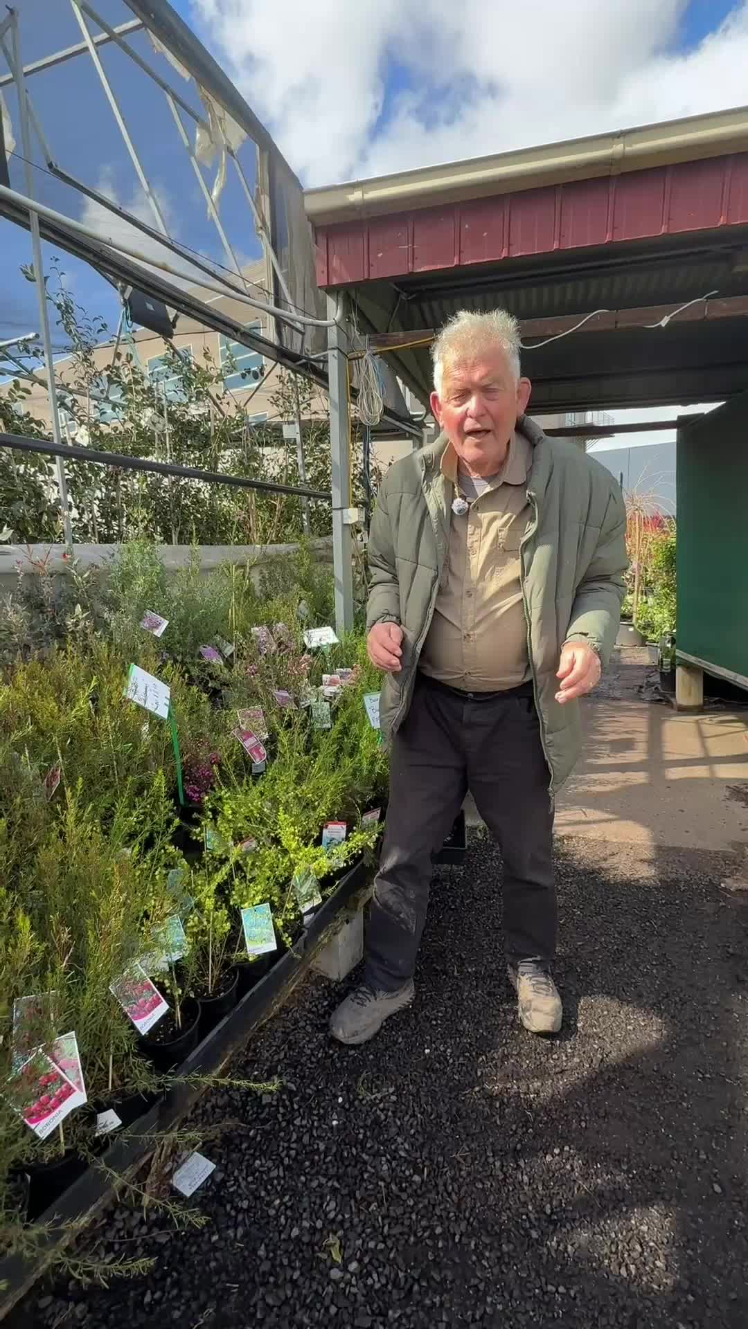 @Hello Hello Plants Nursery