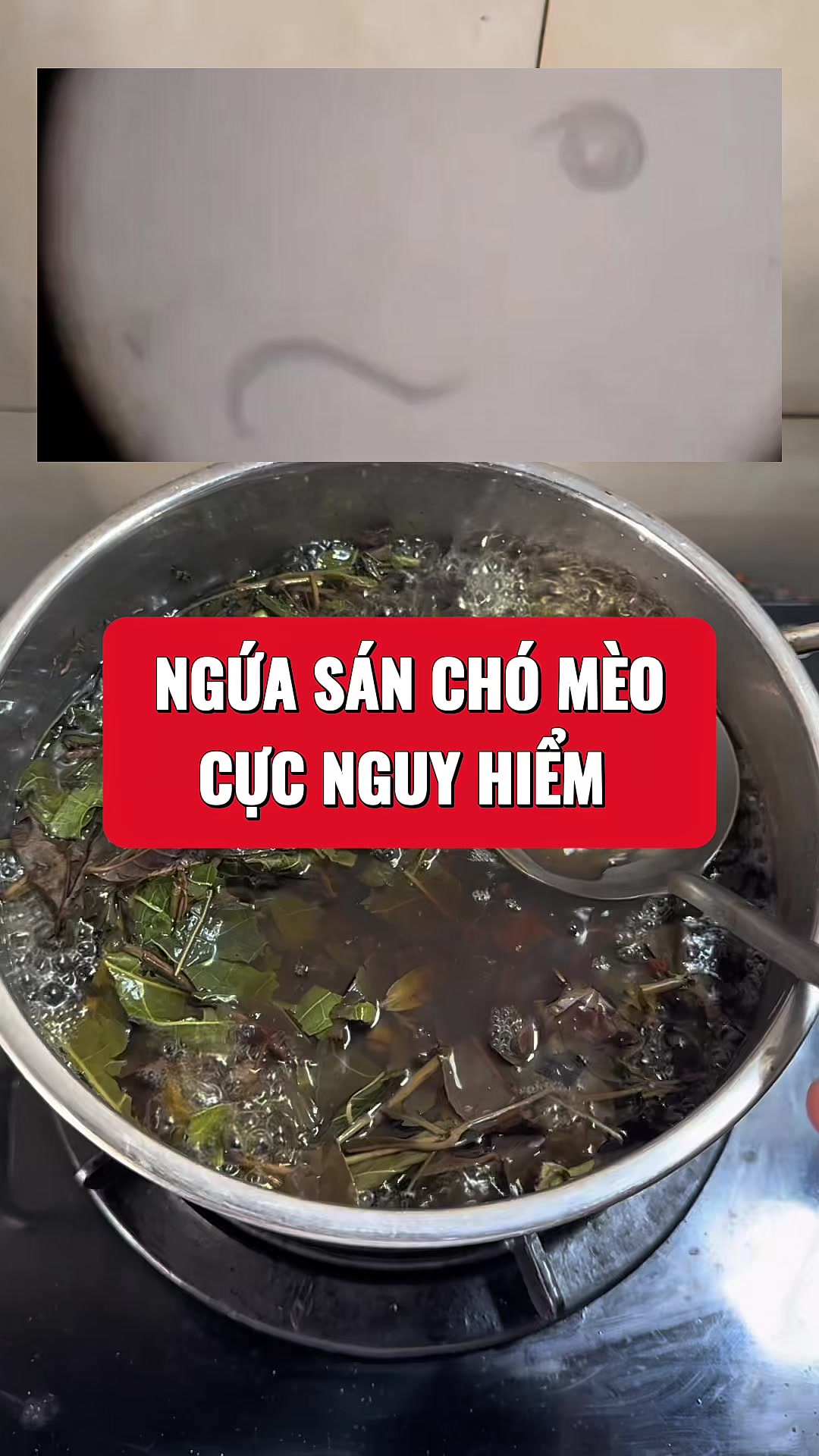 @suckhoevang98